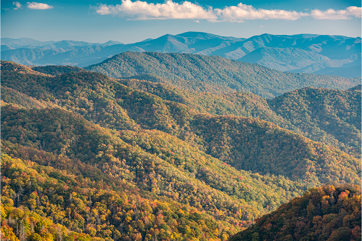 Tennessee Mountainsides